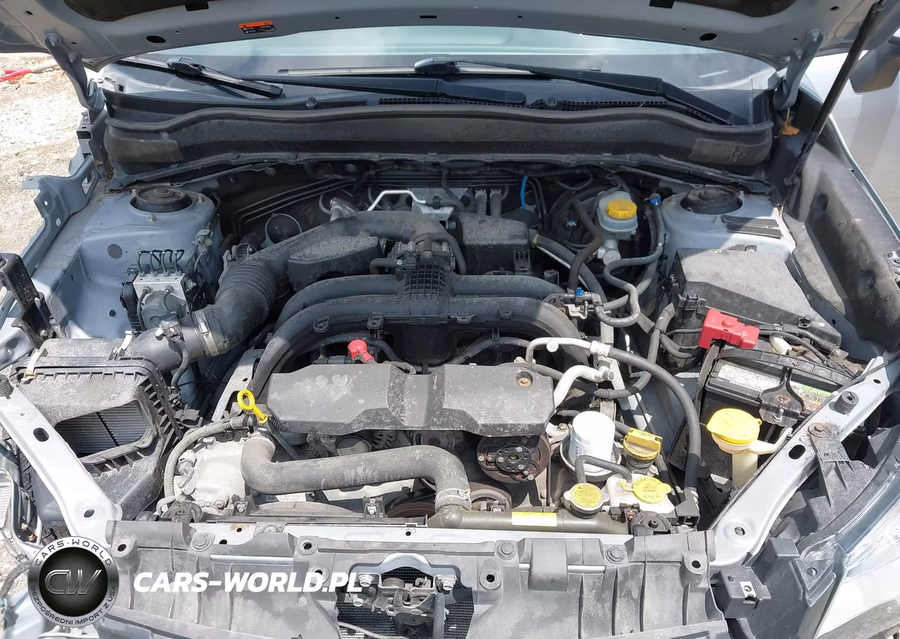 2018 Subaru Forester 2.5I Premium VIN:JF2SJAEC9JH571926 - 10