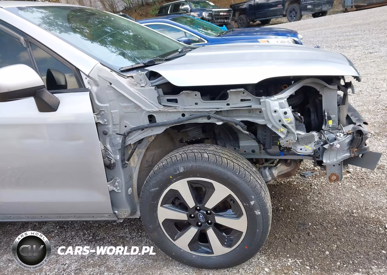 2018 Subaru Forester 2.5I Premium VIN:JF2SJAEC9JH571926 - 18