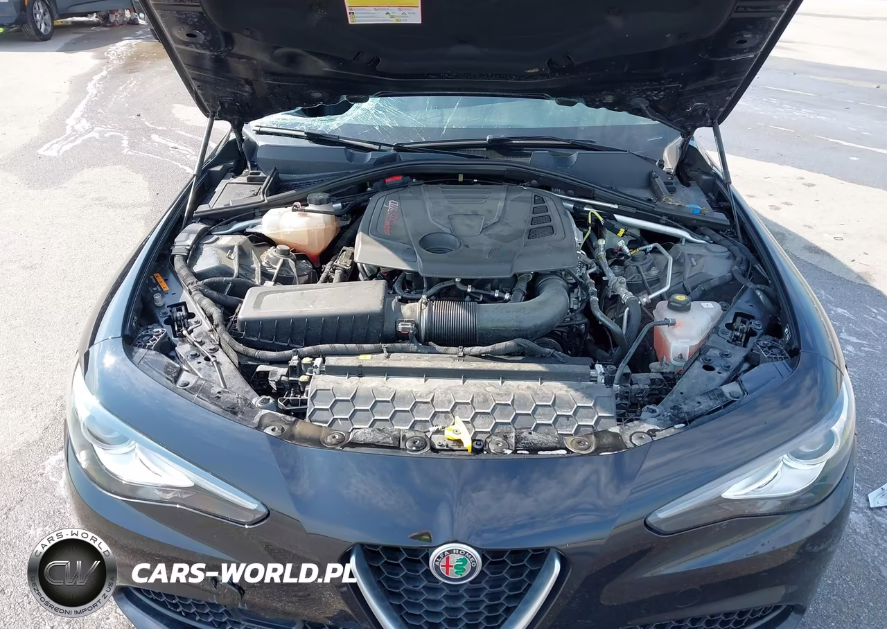 2017 Alfa Romeo Giulia Awd VIN:ZARFAEDN8H7541929 - 10