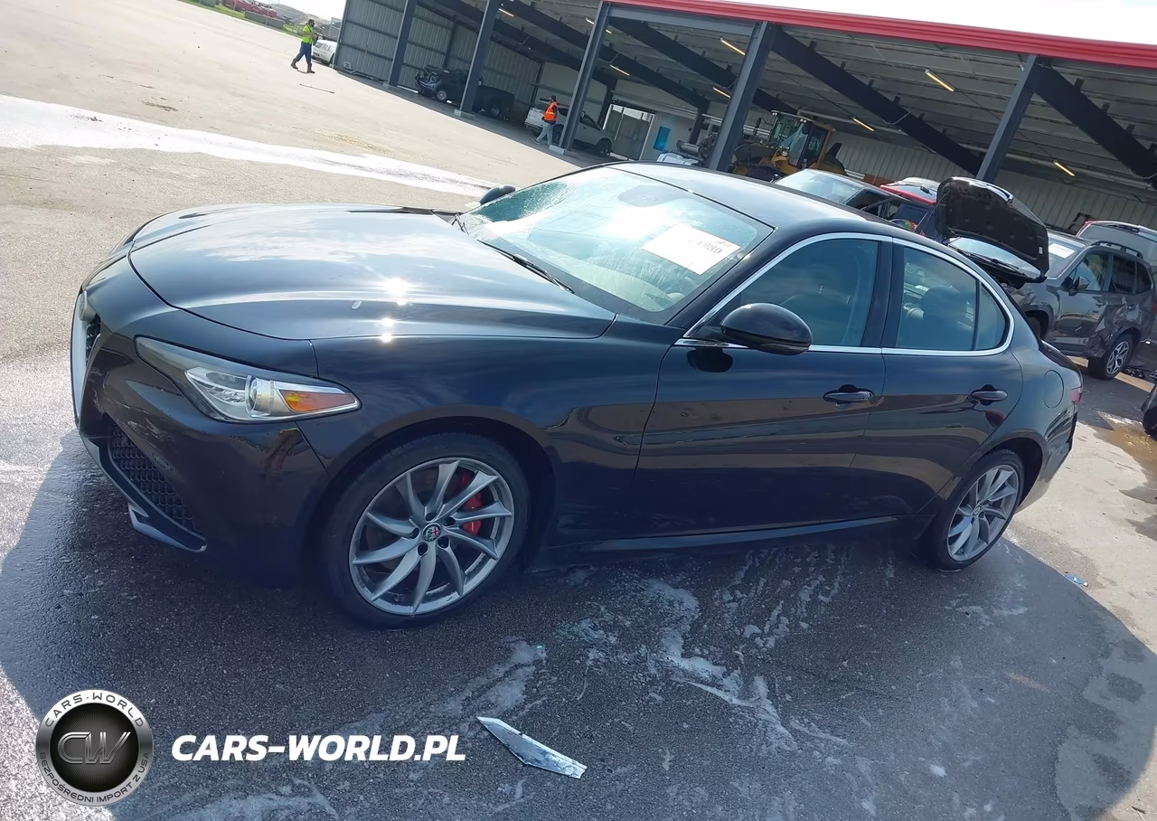 2017 Alfa Romeo Giulia Awd VIN:ZARFAEDN8H7541929 - 14