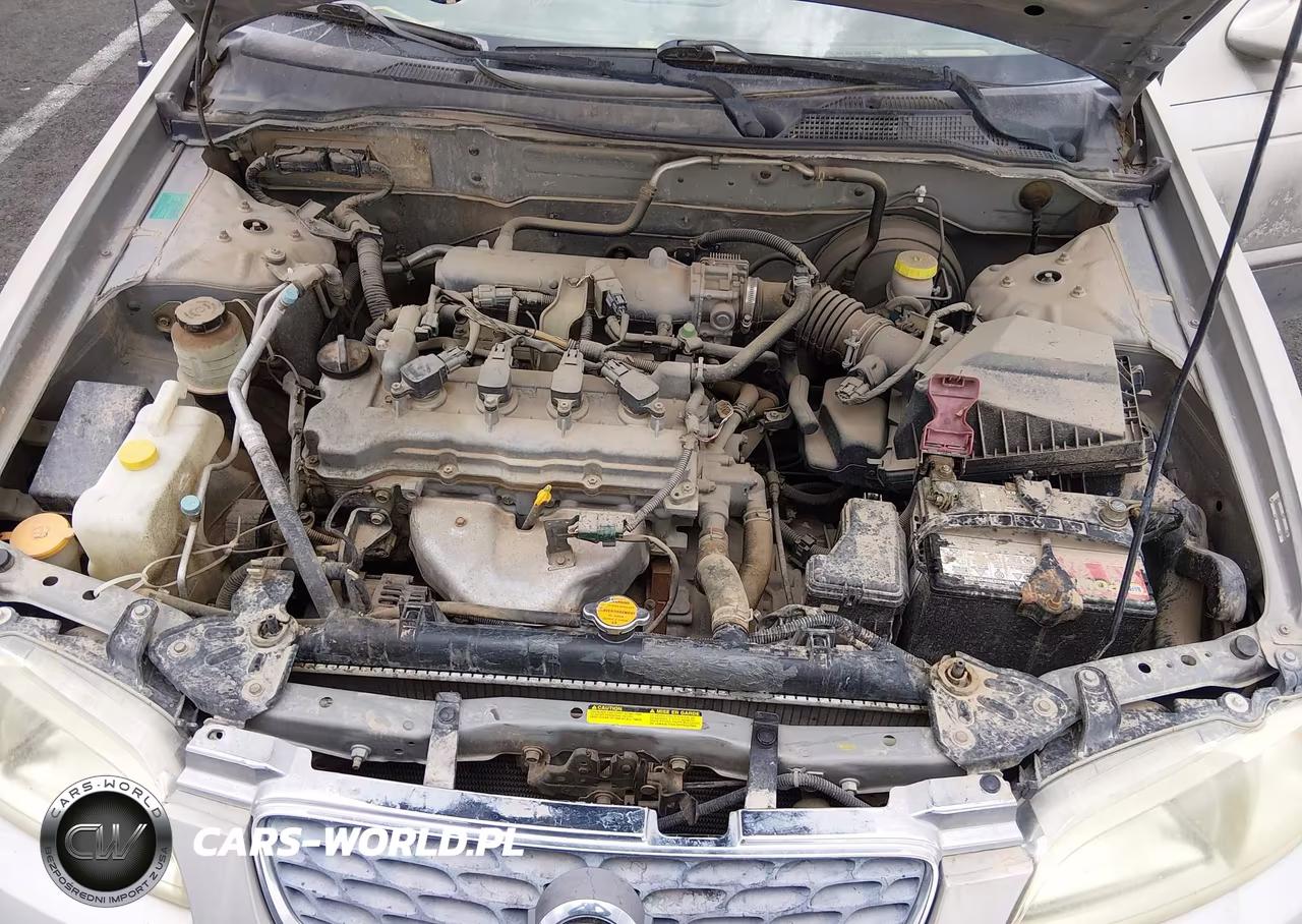 2003 Nissan Sentra Gxe VIN:3N1CB51D83L795069 - 10