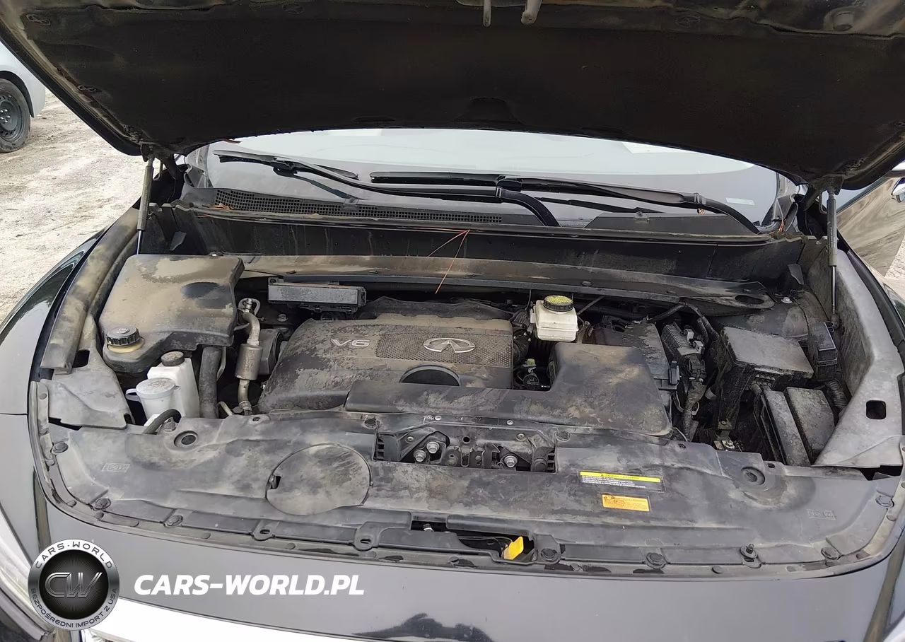 2019 Infiniti Qx60 Pure VIN:5N1DL0MN7KC516187 - 10