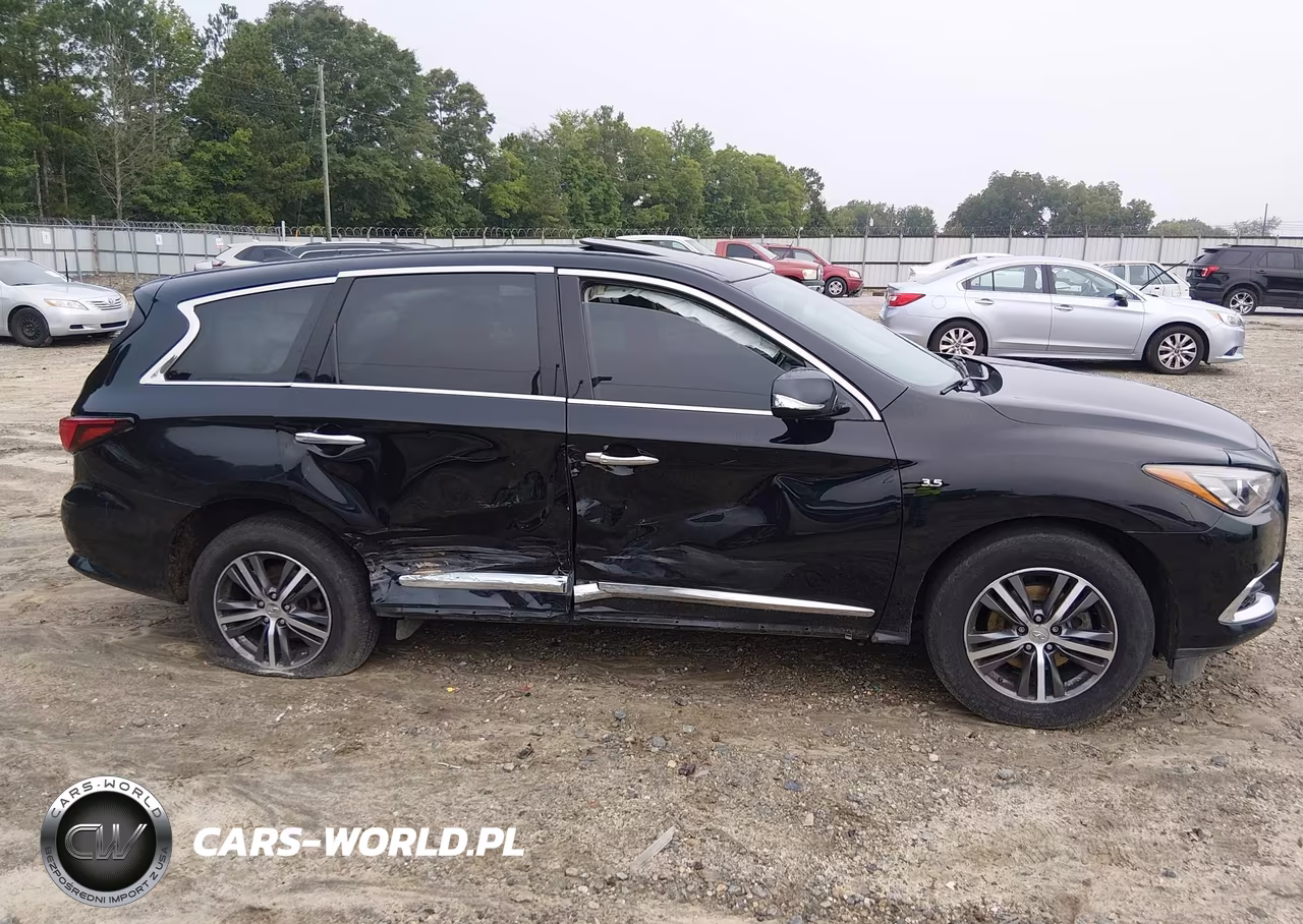 2019 Infiniti Qx60 Pure VIN:5N1DL0MN7KC516187 - 13