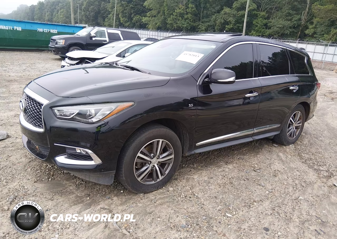 2019 Infiniti Qx60 Pure VIN:5N1DL0MN7KC516187 - 2