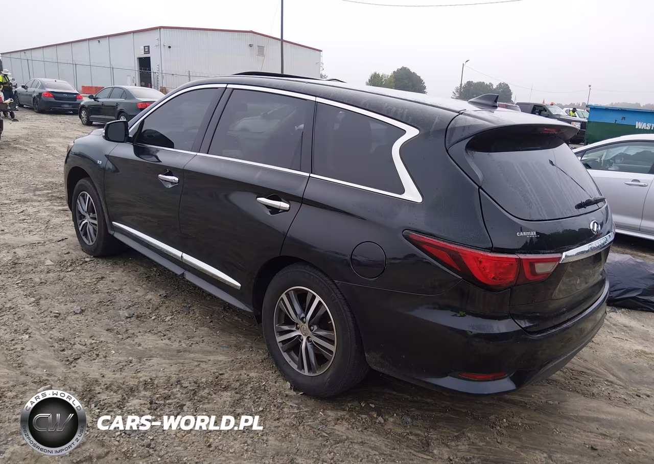 2019 Infiniti Qx60 Pure VIN:5N1DL0MN7KC516187 - 3