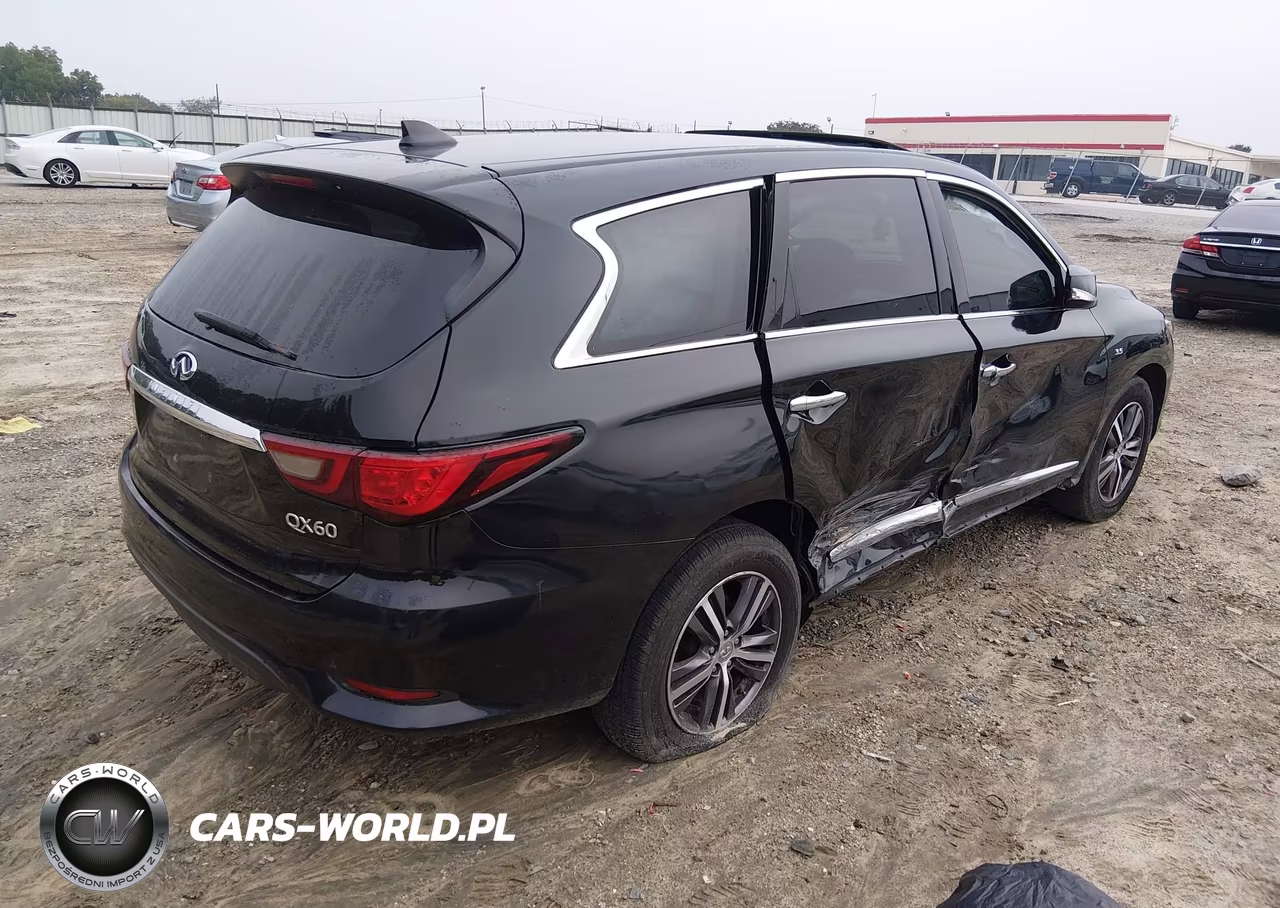 2019 Infiniti Qx60 Pure VIN:5N1DL0MN7KC516187 - 4