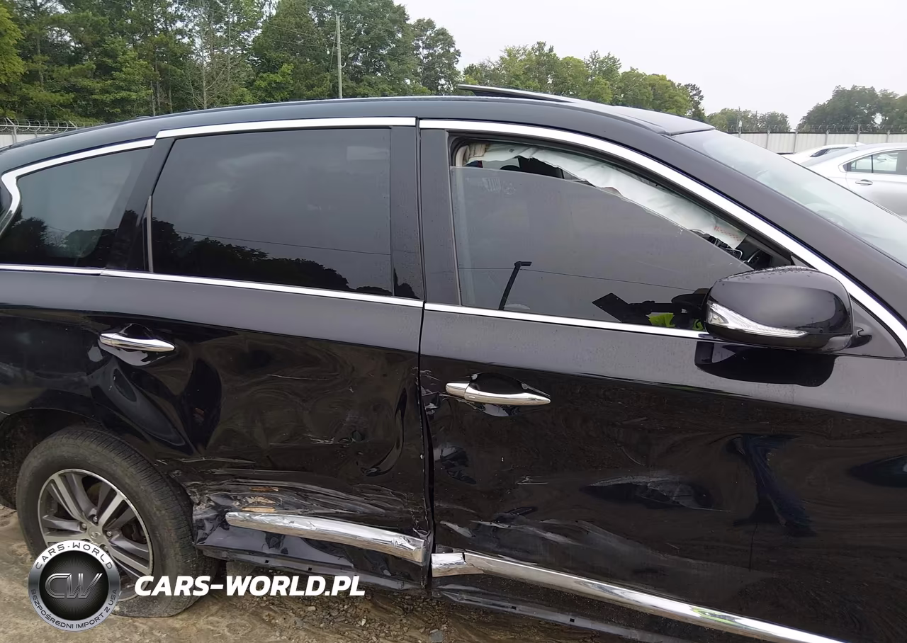 2019 Infiniti Qx60 Pure VIN:5N1DL0MN7KC516187 - 6