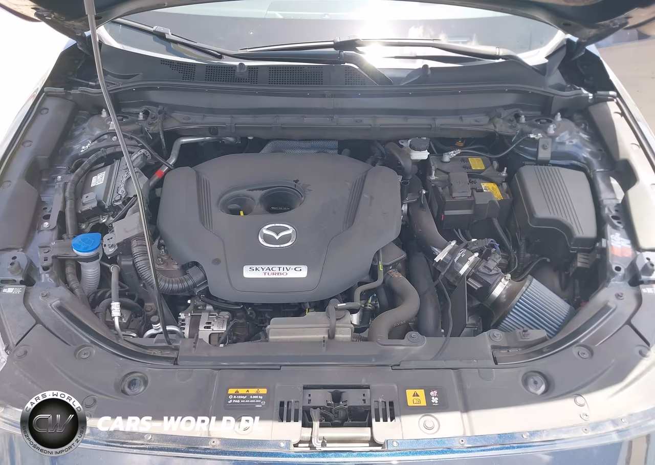 2025 Mazda Cx-5 2.5 Turbo Premium VIN:JM3KFBDY0S0598099 - 10