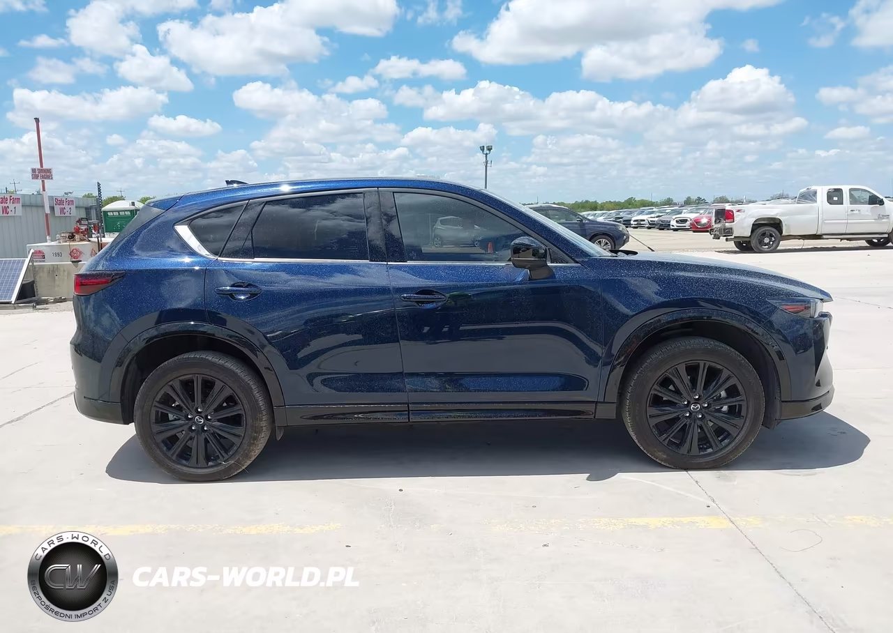 2025 Mazda Cx-5 2.5 Turbo Premium VIN:JM3KFBDY0S0598099 - 13