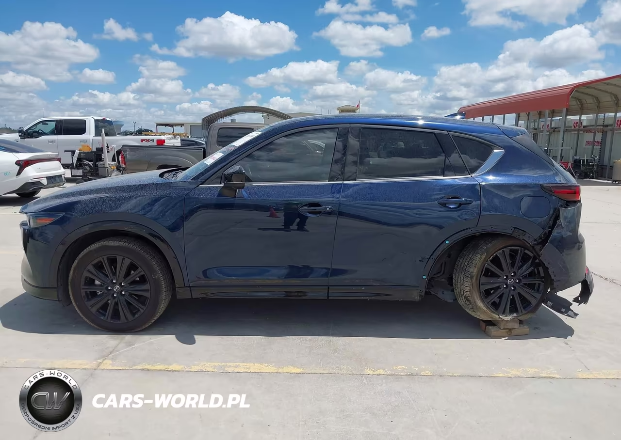 2025 Mazda Cx-5 2.5 Turbo Premium VIN:JM3KFBDY0S0598099 - 14