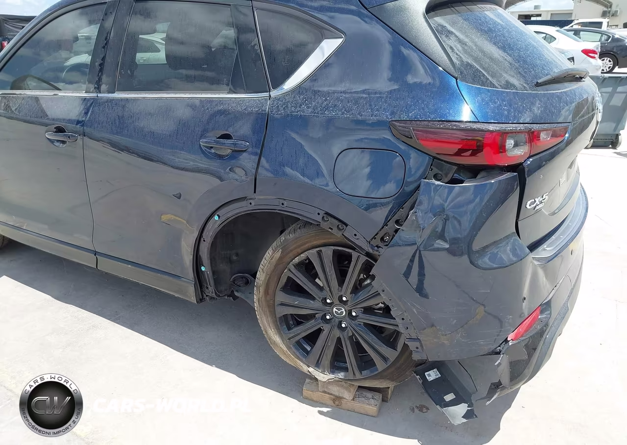 2025 Mazda Cx-5 2.5 Turbo Premium VIN:JM3KFBDY0S0598099 - 6
