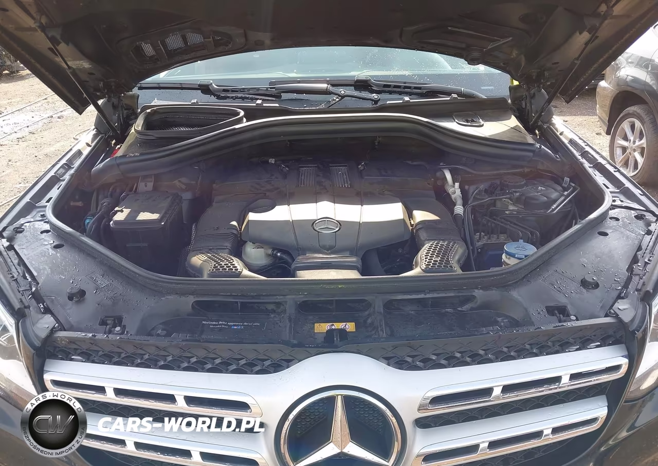 2017 Mercedes-Benz Gls 450 4Matic VIN:4JGDF6EEXHA893979 - 10