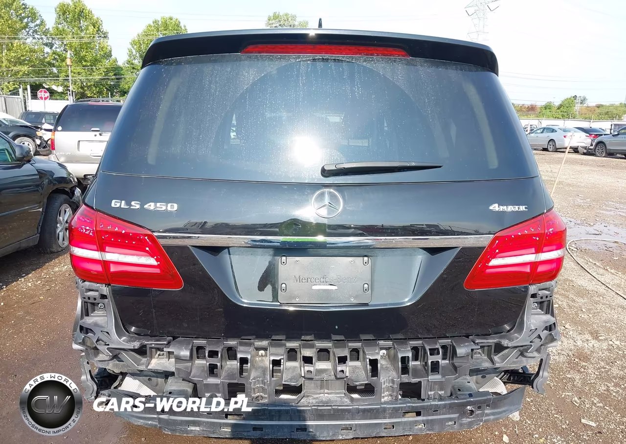 2017 Mercedes-Benz Gls 450 4Matic VIN:4JGDF6EEXHA893979 - 17