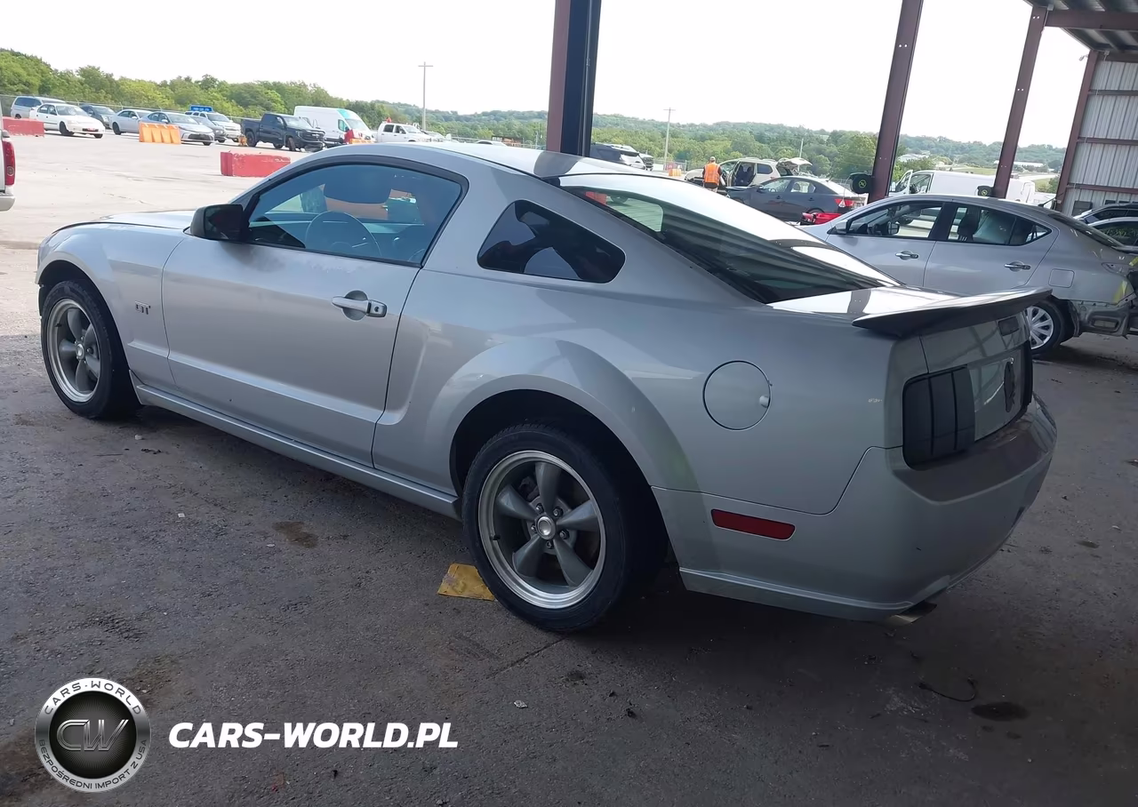 2005 Ford Mustang Gt Deluxe-Gt Premium VIN:1ZVFT82H155177179 - 3