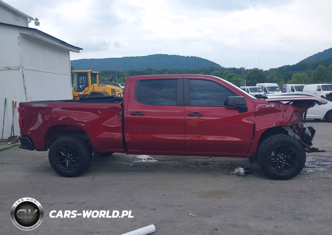 2020 Chevrolet Silverado 1500 4Wd Standard Bed Custom Trail Boss VIN:3GCPYCEF1LG195984 - 13