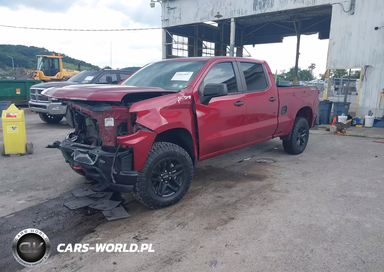 2020 Chevrolet Silverado 1500 4Wd Standard Bed Custom Trail Boss VIN:3GCPYCEF1LG195984 - 2