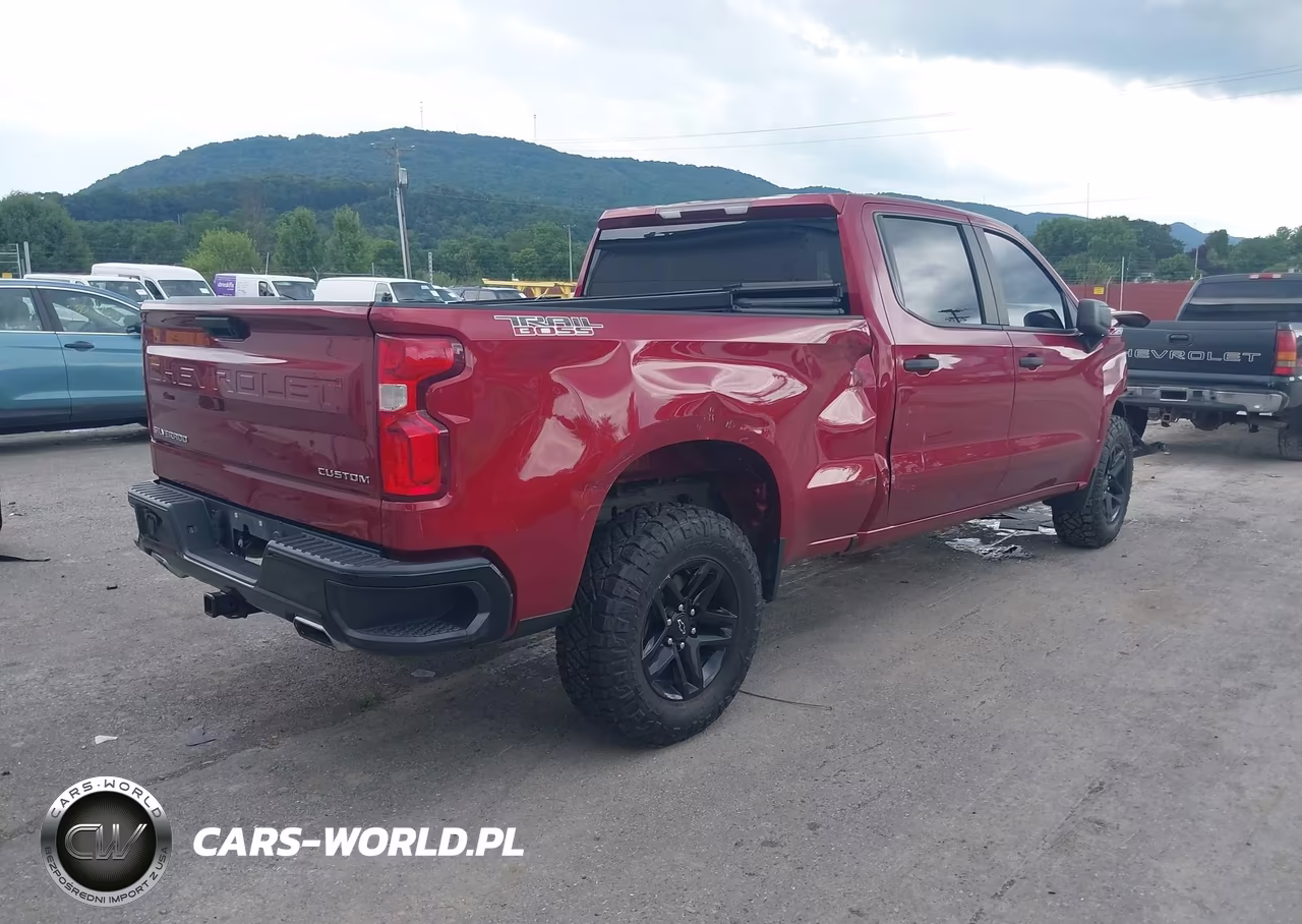 2020 Chevrolet Silverado 1500 4Wd Standard Bed Custom Trail Boss VIN:3GCPYCEF1LG195984 - 4