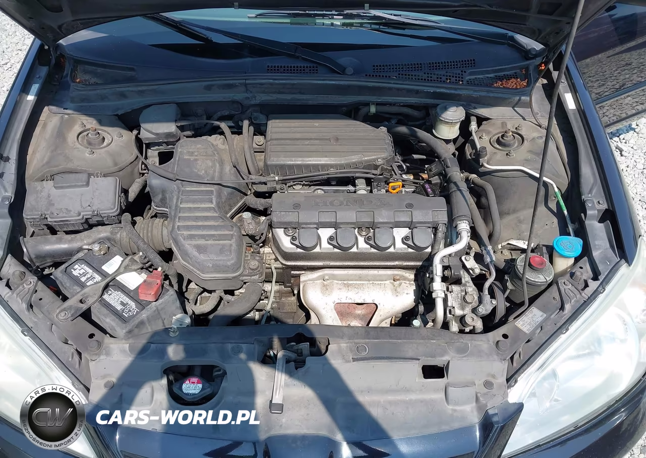 2004 Honda Civic Lx VIN:2HGES166X4H505466 - 10