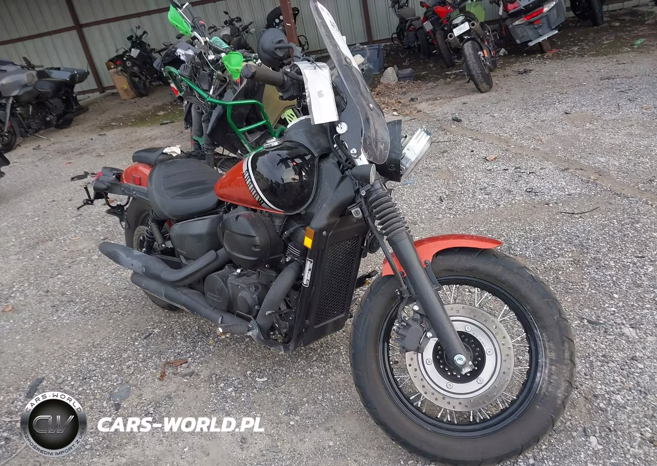 2024 Honda Vt750 C2B