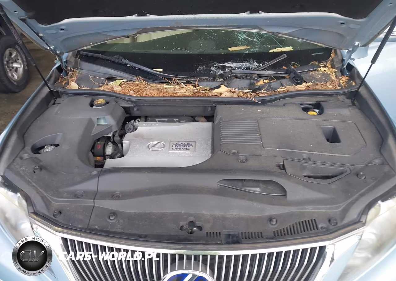 2010 Lexus Rx 450H VIN:JTJZB1BA6A2401469 - 10