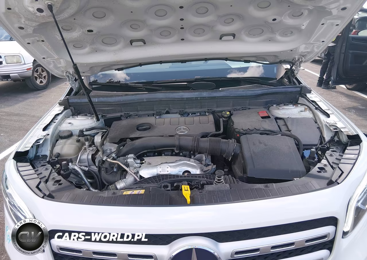 2022 Mercedes-Benz Glb 250 4Matic VIN:W1N4M4HB0NW238530 - 10
