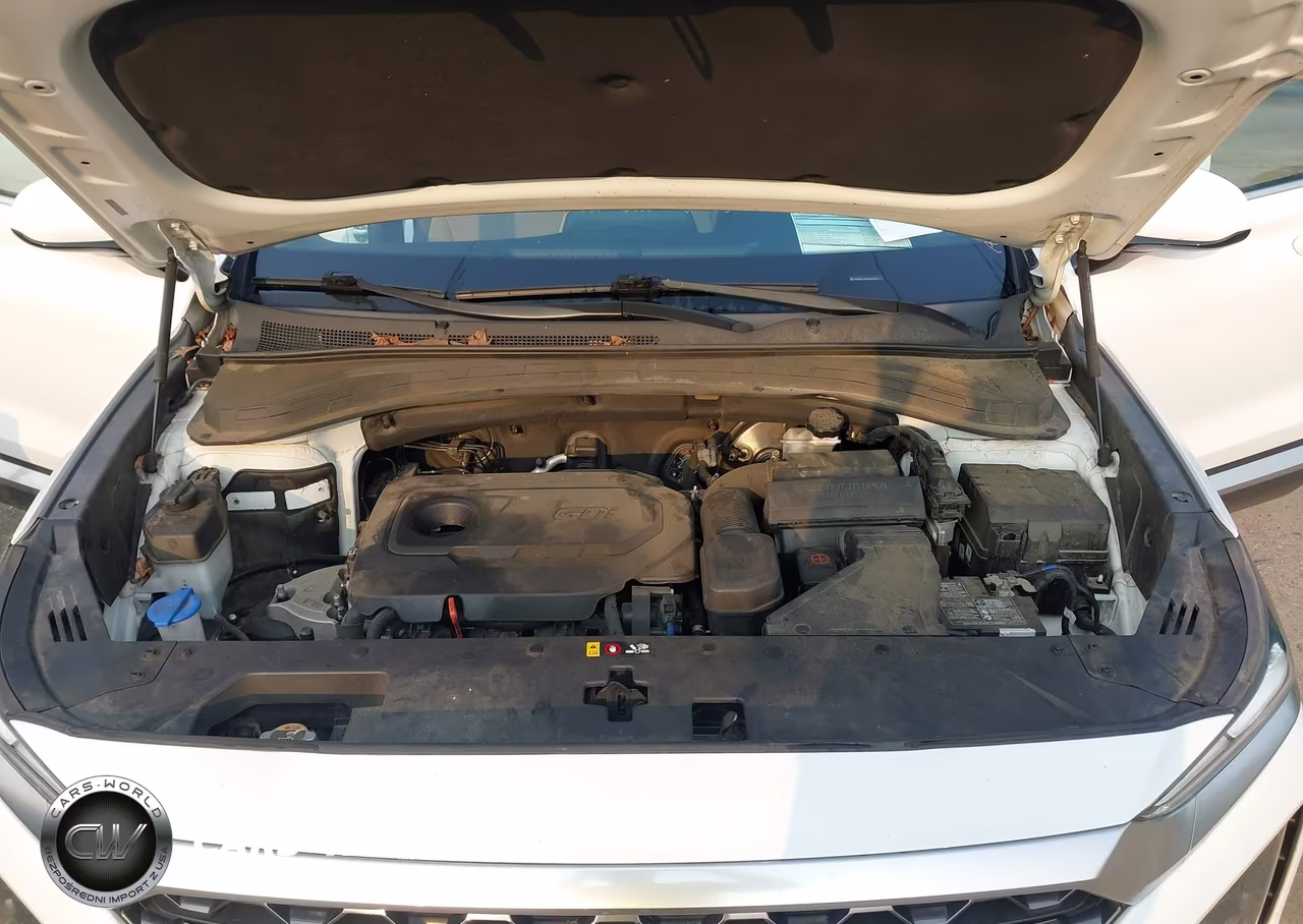 2020 Hyundai Santa Fe Sel VIN:5NMS3CAD6LH290350 - 10