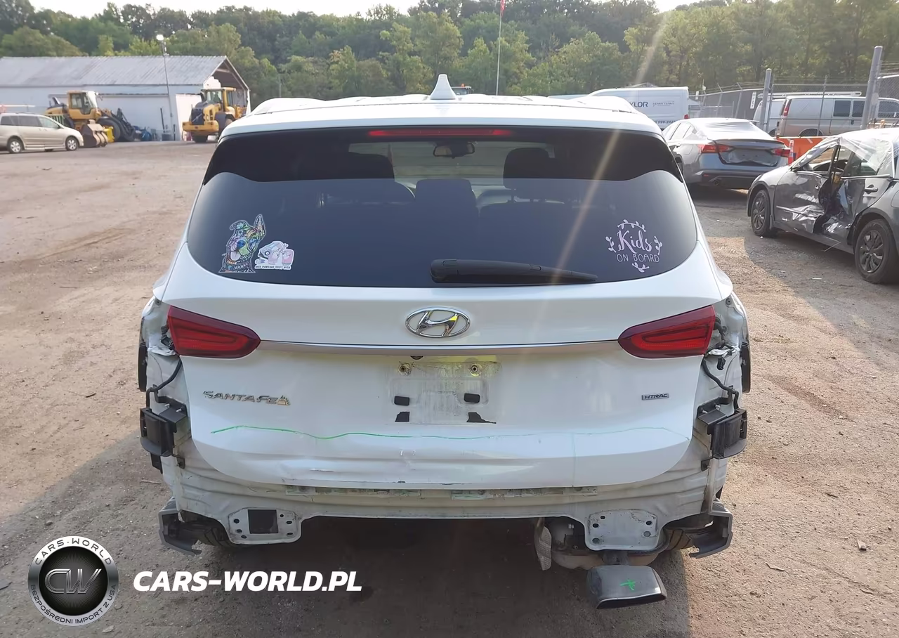 2020 Hyundai Santa Fe Sel VIN:5NMS3CAD6LH290350 - 17