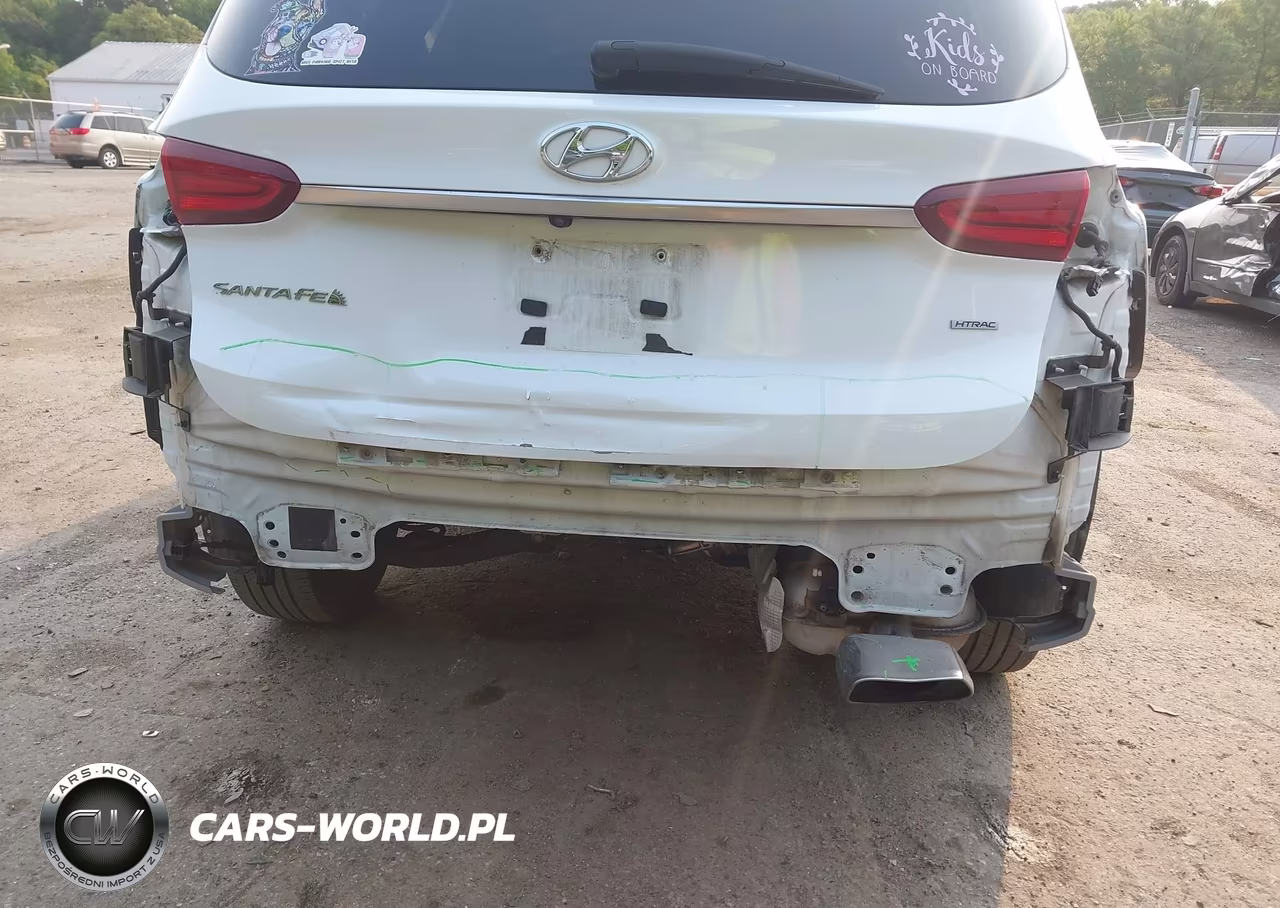 2020 Hyundai Santa Fe Sel VIN:5NMS3CAD6LH290350 - 6