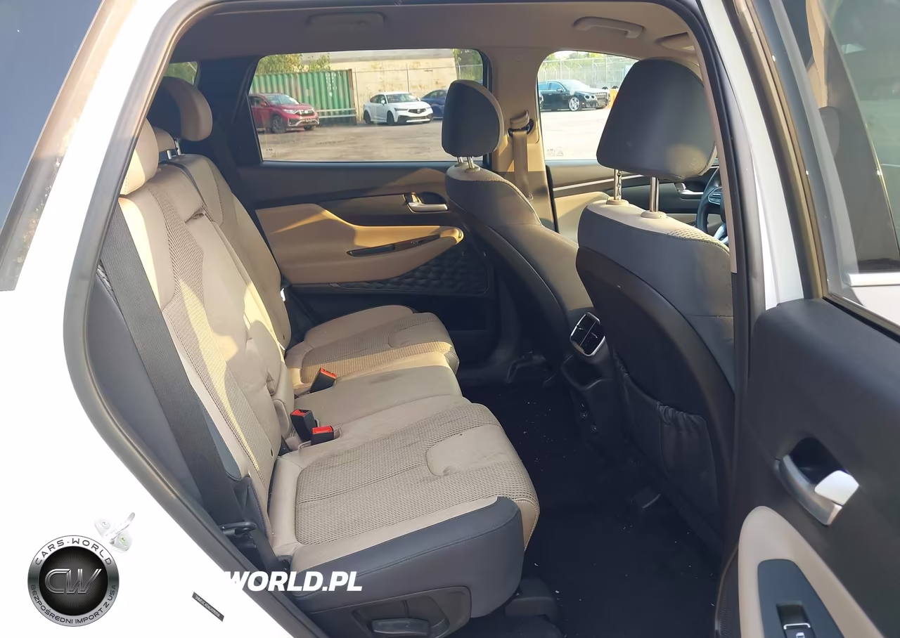 2020 Hyundai Santa Fe Sel VIN:5NMS3CAD6LH290350 - 8