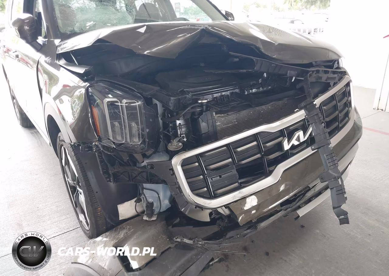 2024 Kia Telluride S VIN:5XYP6DGC6RG437755 - 6