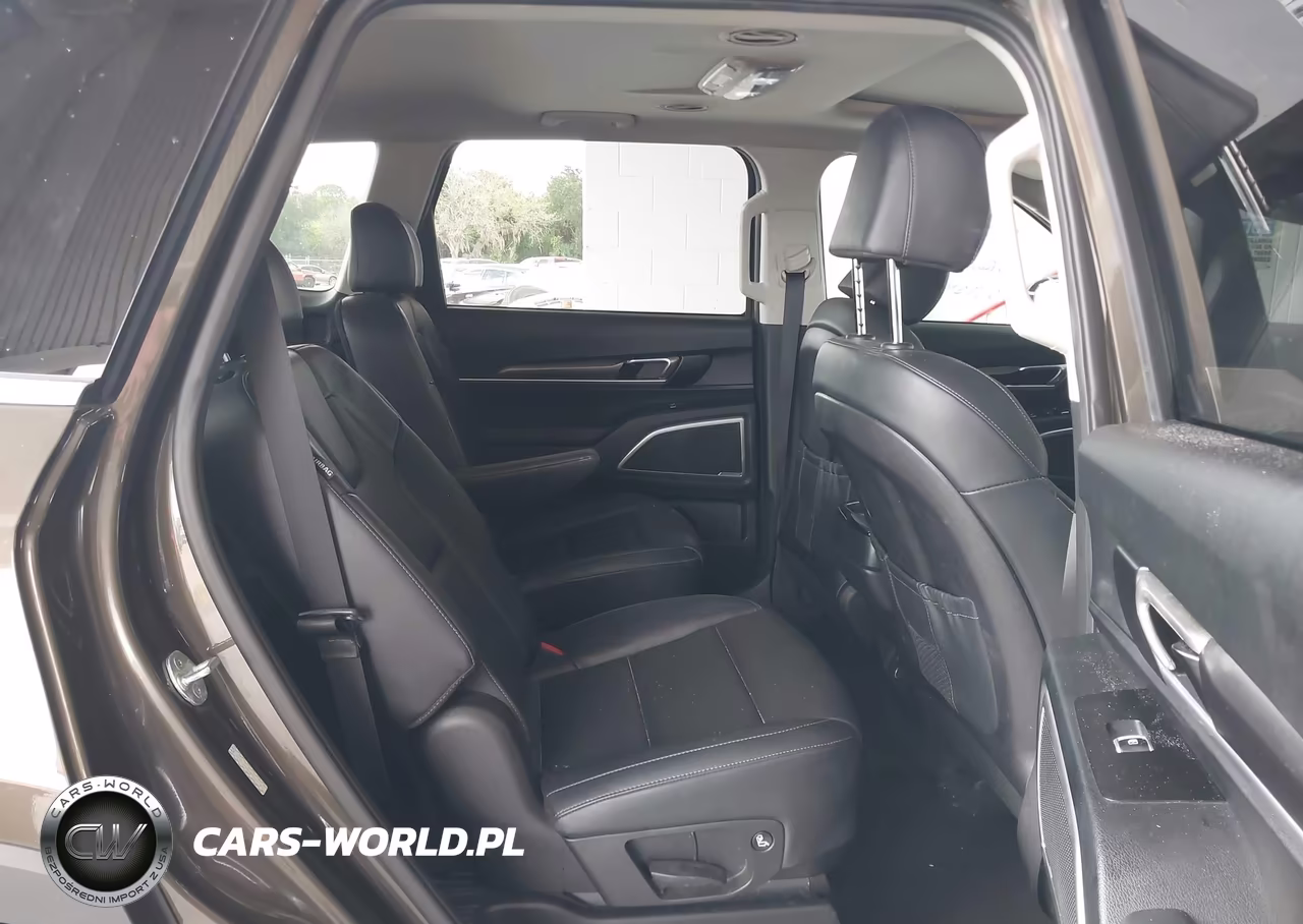 2024 Kia Telluride S VIN:5XYP6DGC6RG437755 - 8