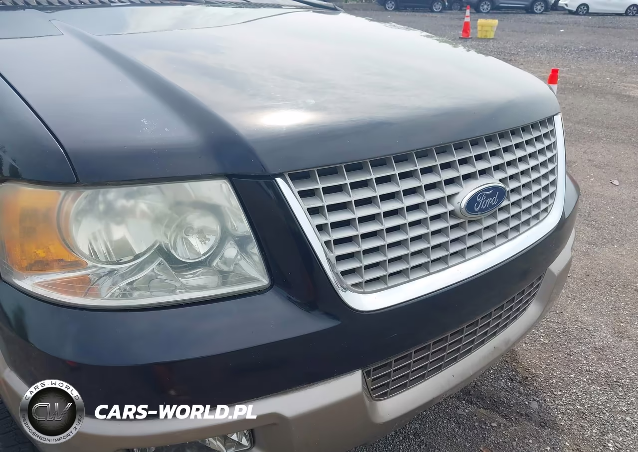 2004 Ford Expedition Eddie Bauer VIN:1FMFU17LX4LA34483 - 6
