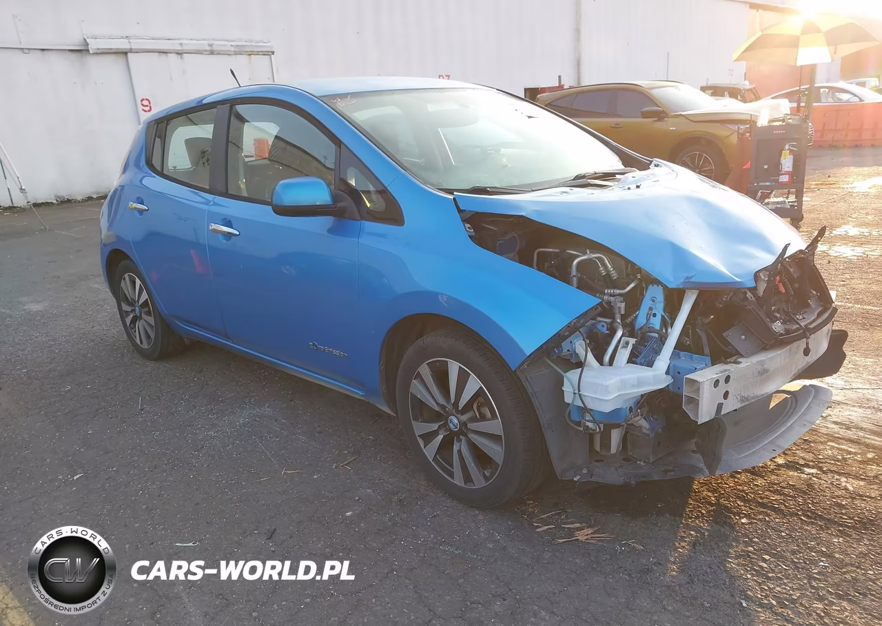 2013 Nissan Leaf Sl VIN:1N4AZ0CP1DC413591 - 1