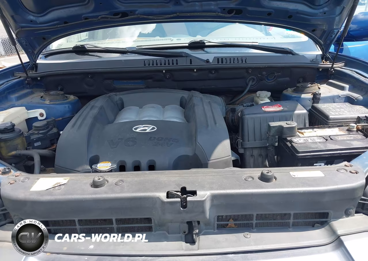2006 Hyundai Santa Fe Gls VIN:KM8SC73D36U092323 - 10
