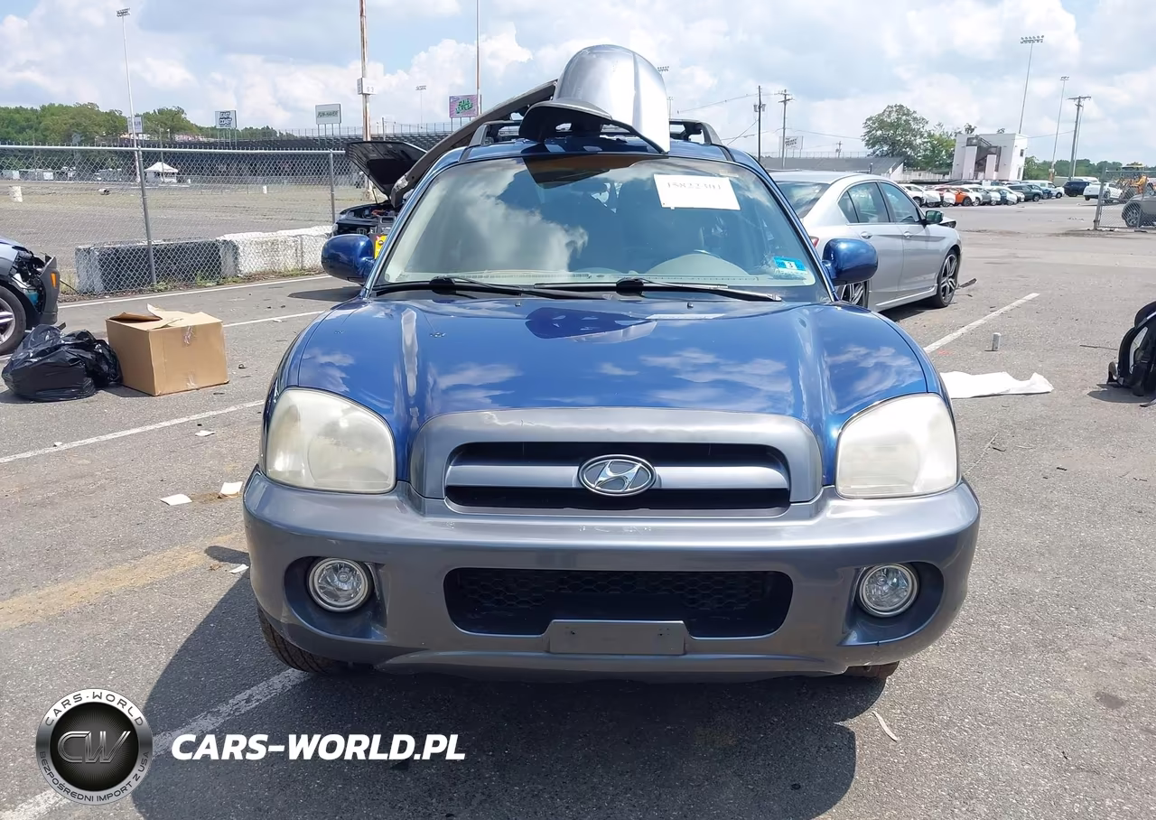 2006 Hyundai Santa Fe Gls VIN:KM8SC73D36U092323 - 12