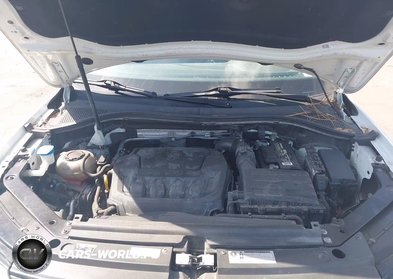 2019 Volkswagen Tiguan 2.0T S VIN:3VV1B7AX8KM042243 - 10