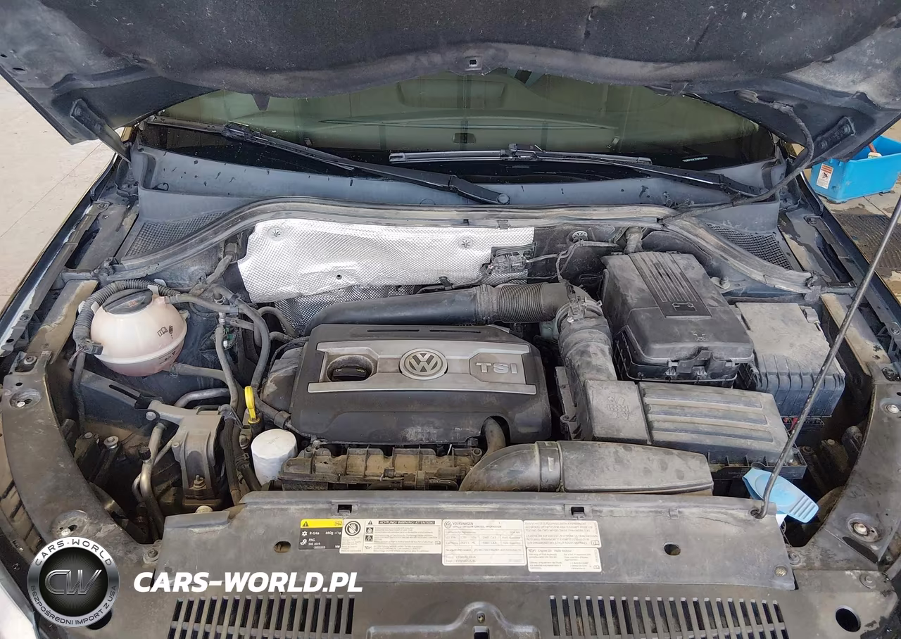2014 Volkswagen Tiguan Se VIN:WVGBV3AX2EW568984 - 10