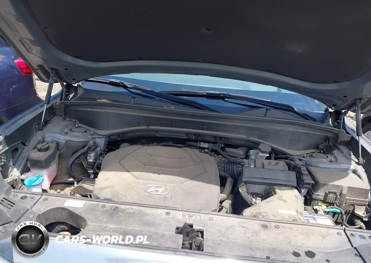 2023 Hyundai Palisade Calligraphy VIN:KM8R7DGE6PU595575 - 10