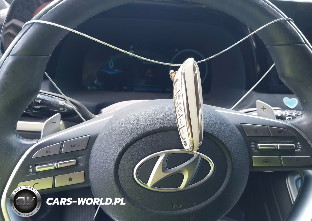 2023 Hyundai Palisade Calligraphy VIN:KM8R7DGE6PU595575 - 11