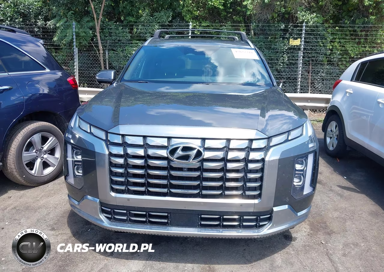 2023 Hyundai Palisade Calligraphy VIN:KM8R7DGE6PU595575 - 12
