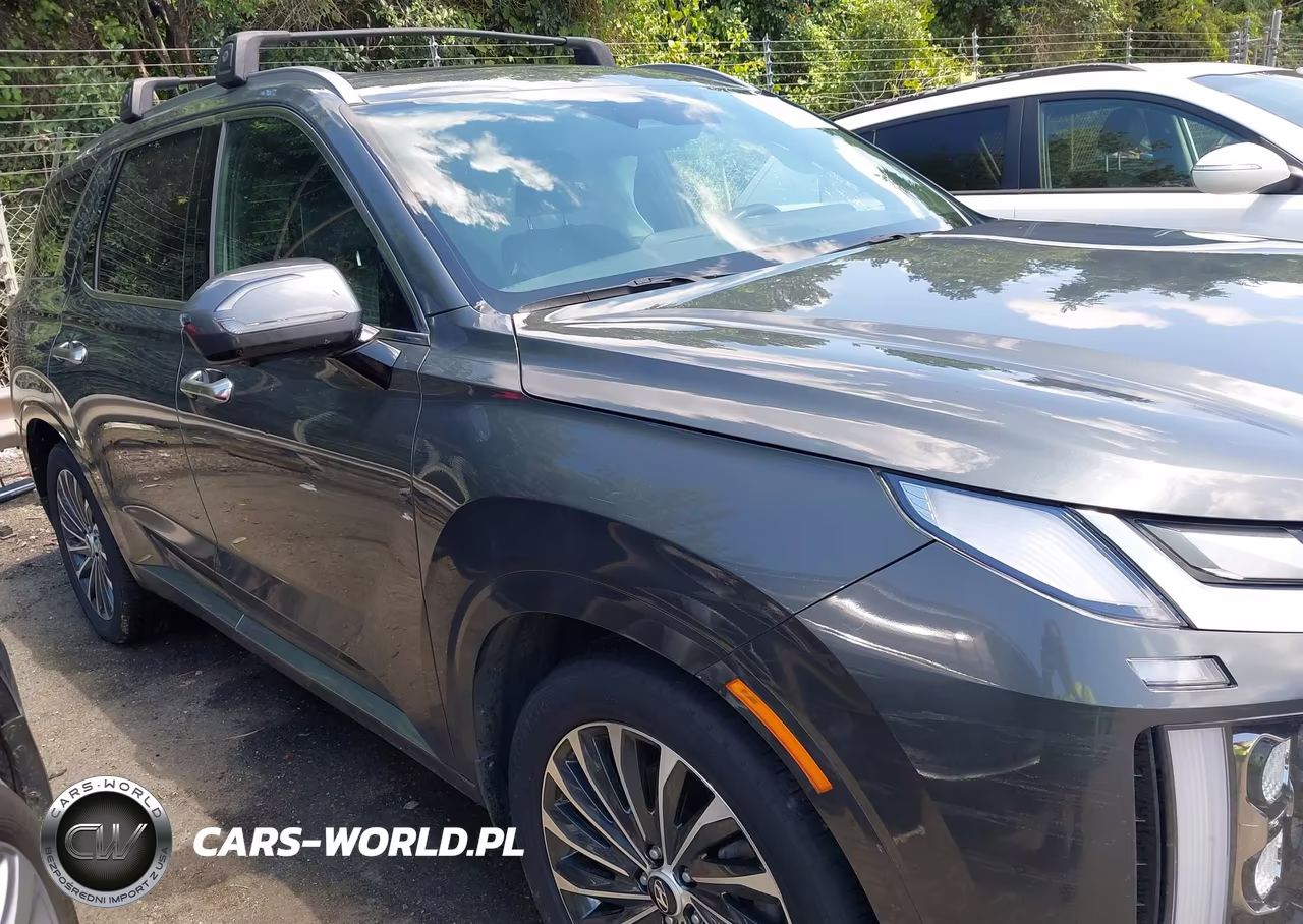 2023 Hyundai Palisade Calligraphy VIN:KM8R7DGE6PU595575 - 13