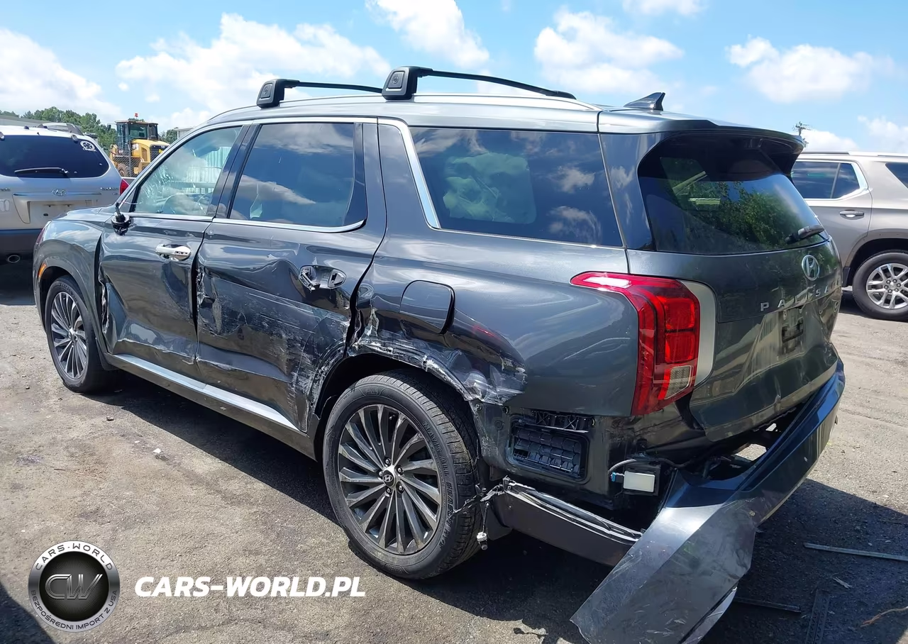 2023 Hyundai Palisade Calligraphy VIN:KM8R7DGE6PU595575 - 3