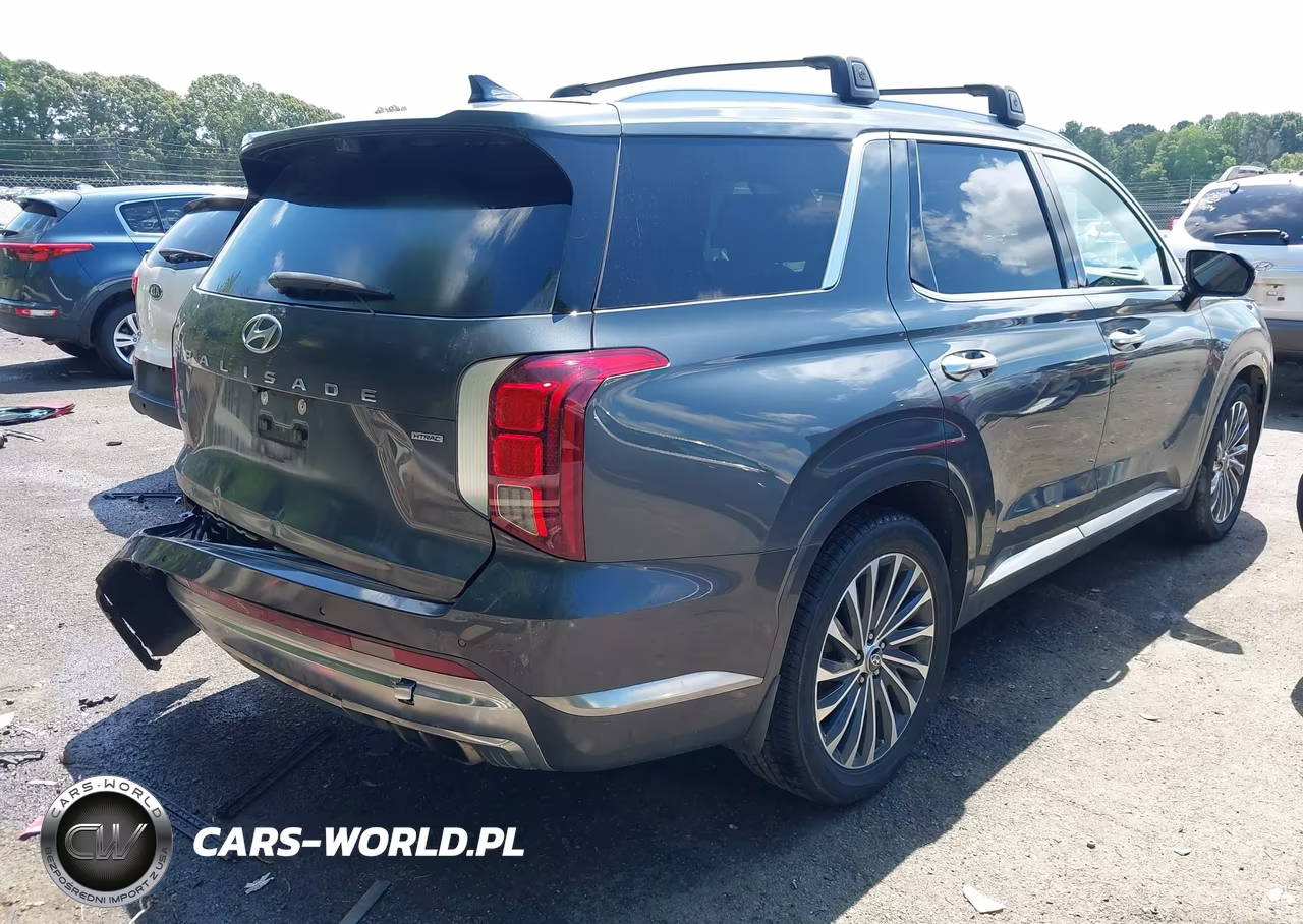 2023 Hyundai Palisade Calligraphy VIN:KM8R7DGE6PU595575 - 4