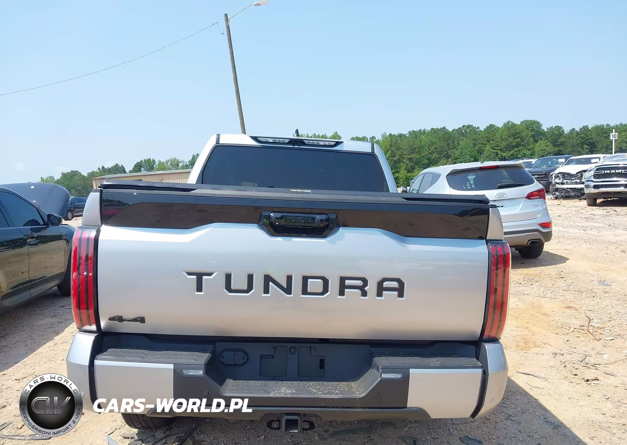 2025 Toyota Tundra Platinum VIN:5TFWA5DB4SX262307 - 16