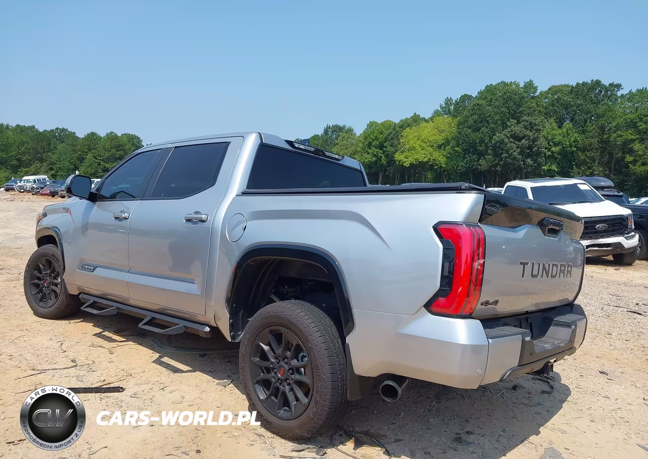 2025 Toyota Tundra Platinum VIN:5TFWA5DB4SX262307 - 3