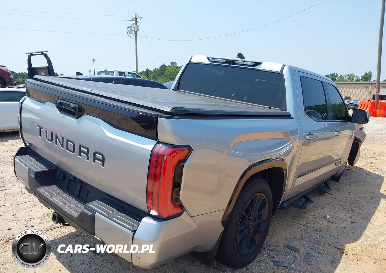 2025 Toyota Tundra Platinum VIN:5TFWA5DB4SX262307 - 4