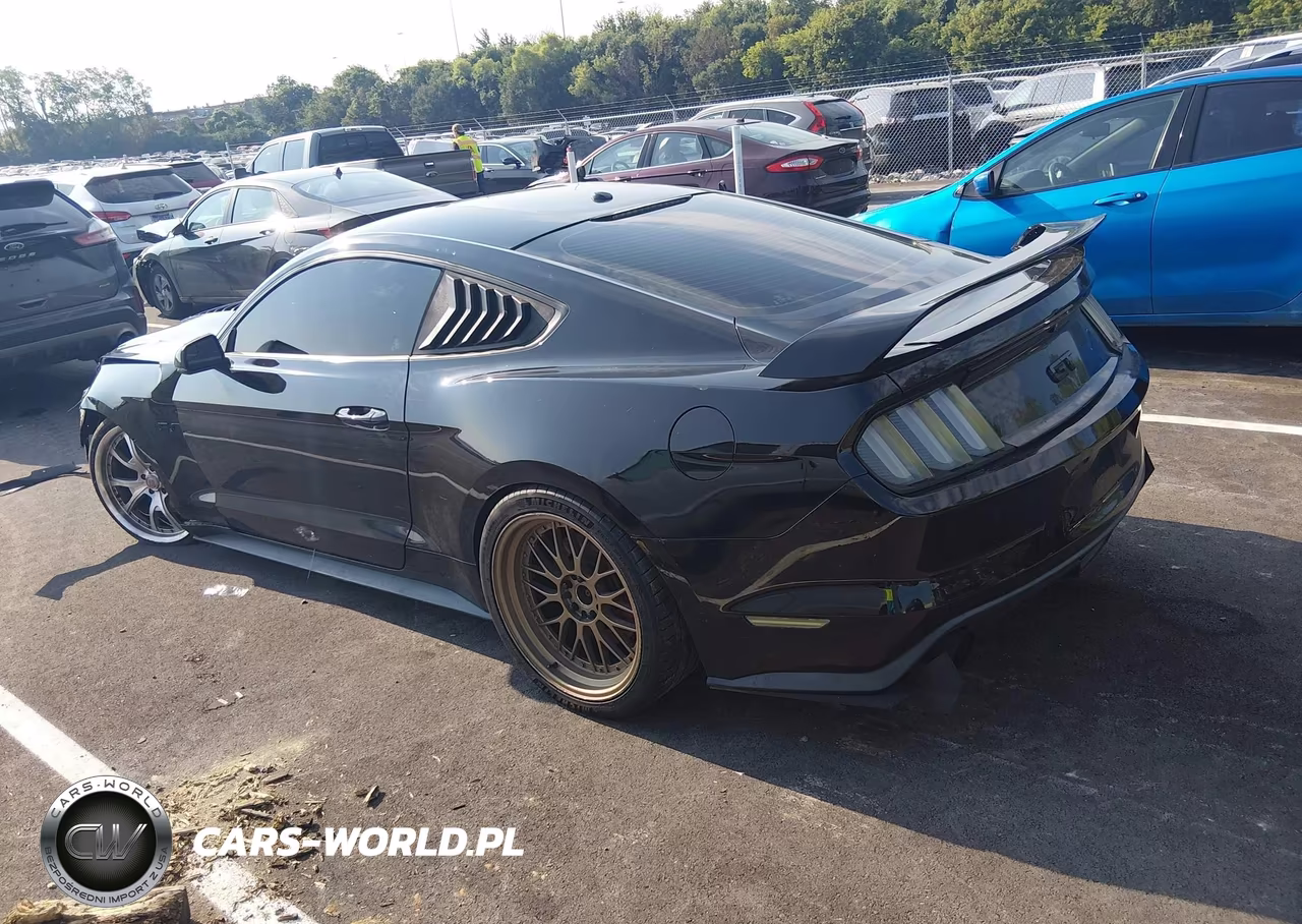 2017 Ford Mustang Gt VIN:1FA6P8CF0H5266093 - 13