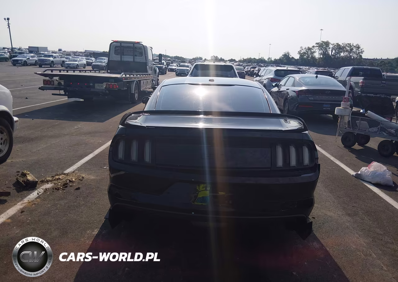 2017 Ford Mustang Gt VIN:1FA6P8CF0H5266093 - 15