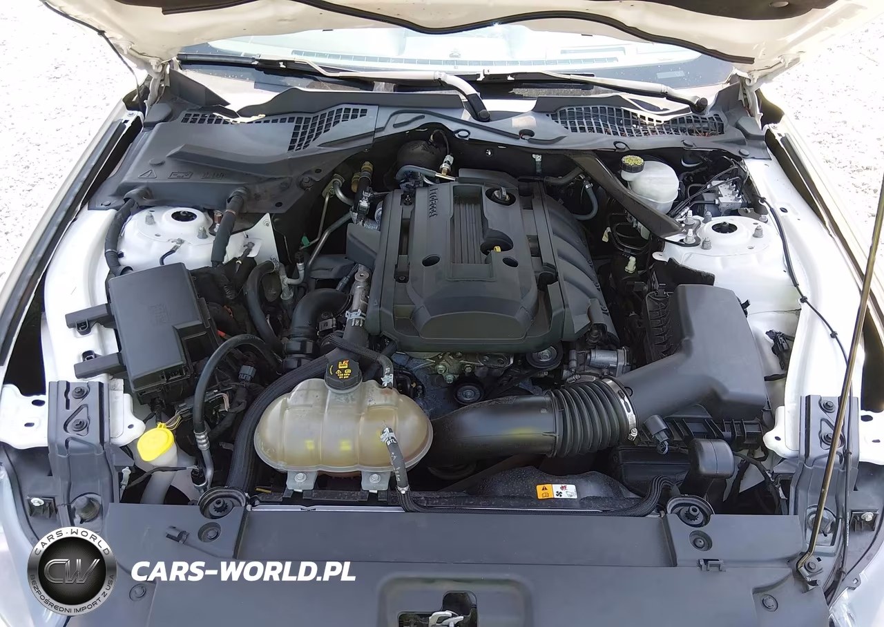 2017 Ford Mustang Ecoboost Premium VIN:1FA6P8THXH5308450 - 10