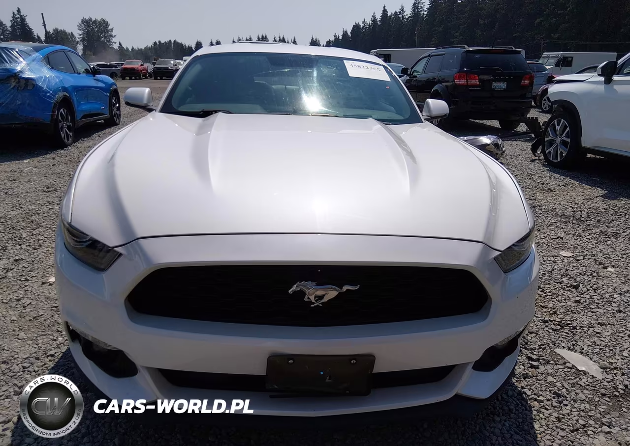 2017 Ford Mustang Ecoboost Premium VIN:1FA6P8THXH5308450 - 12